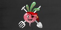 Asset preview